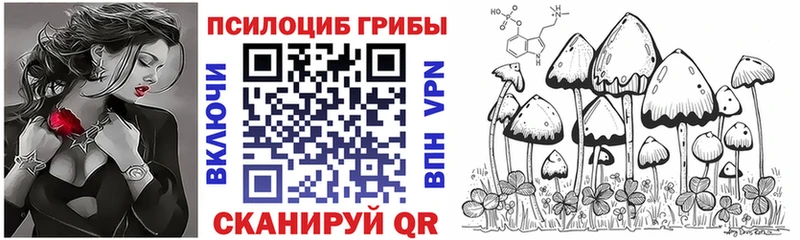 Галлюциногенные грибы Psilocybine cubensis shop официальный сайт Шали